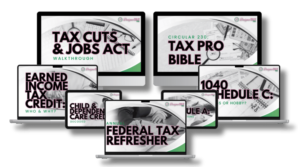 Designer Tax Pro preview