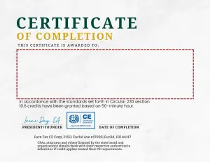 IRS Certificate template